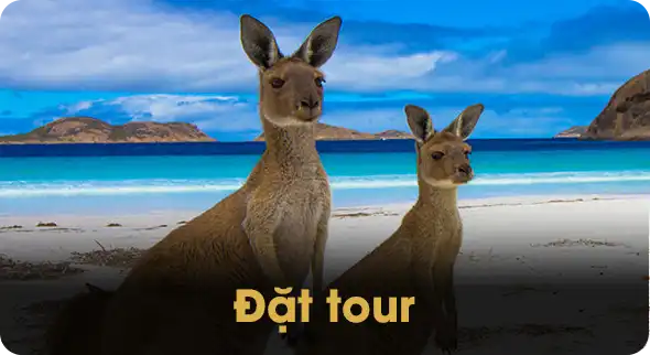 Tour Australia