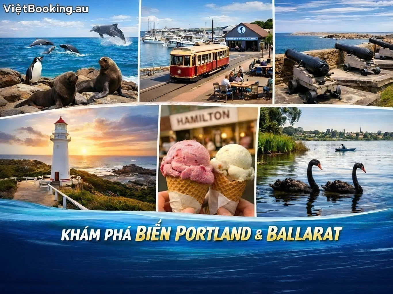 Khám Phá Biển Portland - Hành Trình Chạm Vào Vẻ Đẹp Hoang Sơ Nước Úc