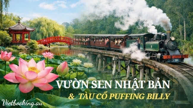 Vườn sen Nhật Bản tại Melbourne – Blue Lotus Water Garden và hành trình tuyệt sắc