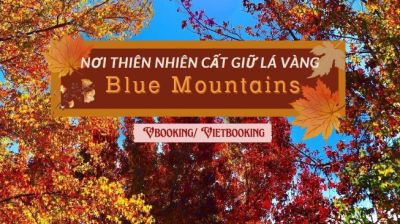 Mùa Thu ở Blue Mountains – Nơi Thiên Nhiên Cất Giữ Lá Vàng