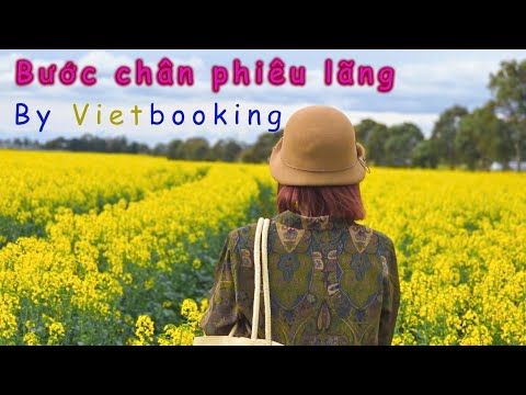 The wandering steps - Bước chân phiêu lãng