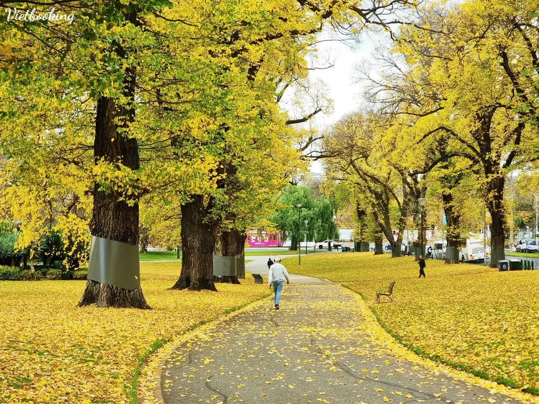 14afa8e07c61ce3f977027-1080x810.webp (401 KB)