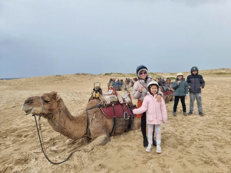 fb84232d39b78fe9d6a613-1770608360.webp (70 KB)