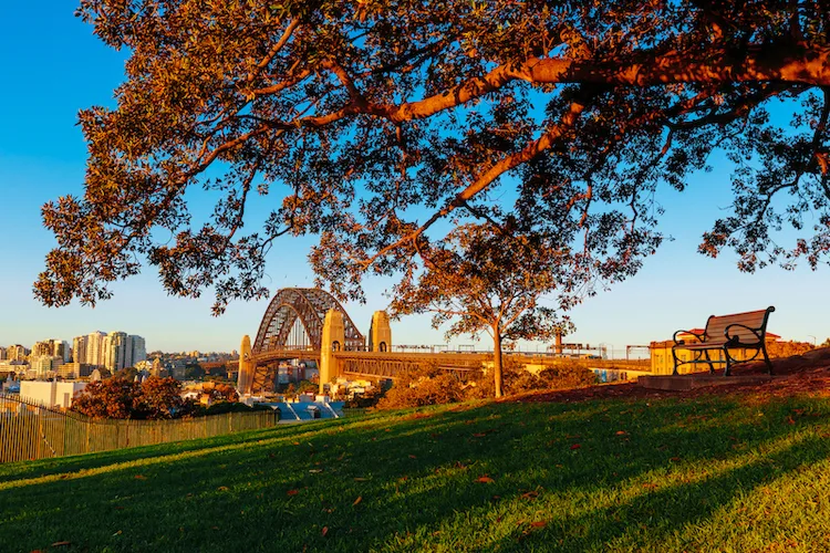 1086110159-1677463505143-1773127024.webp (153 KB)