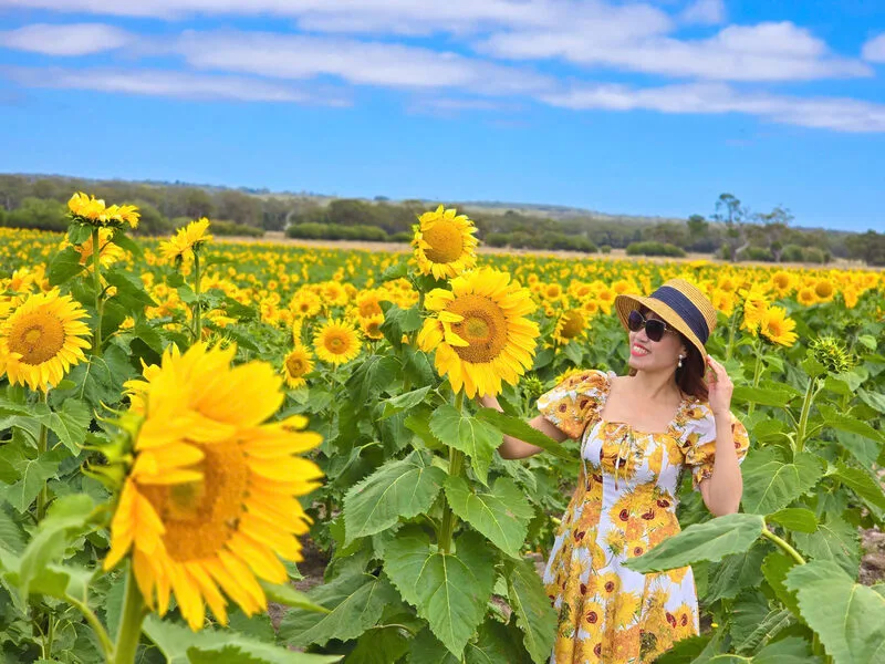 1c2a14f291202f7e76314-1772532547.webp (93 KB)