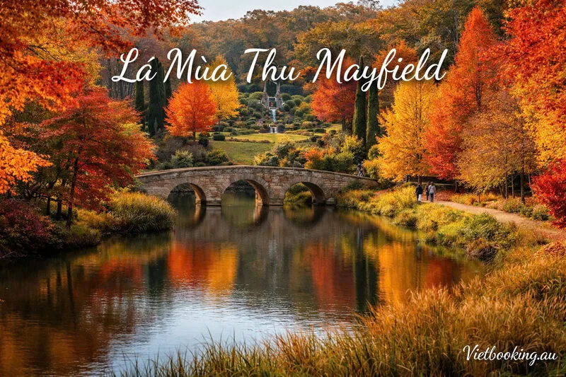 la-mua-thu-mayfield-1775016924.webp (145 KB)