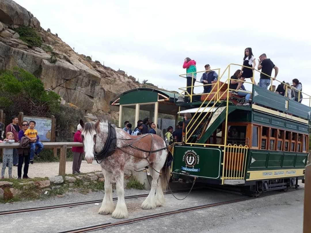 Khám Phá Adelaide phần 2