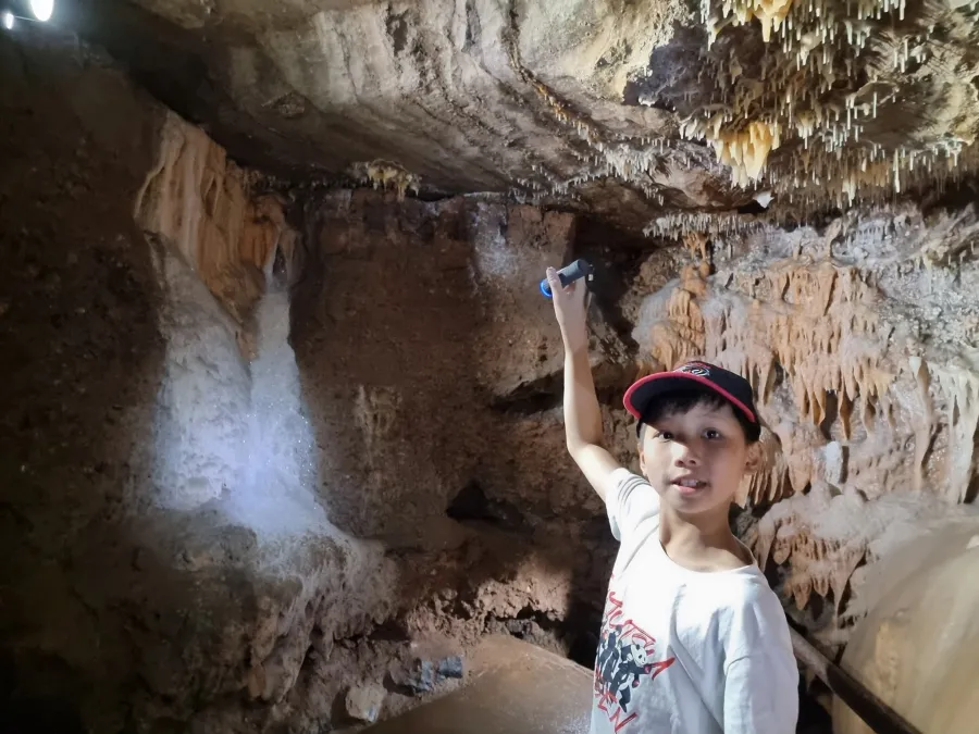 album của tour