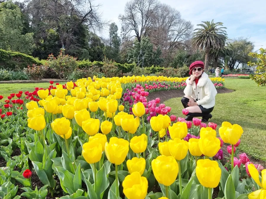 album của tour
