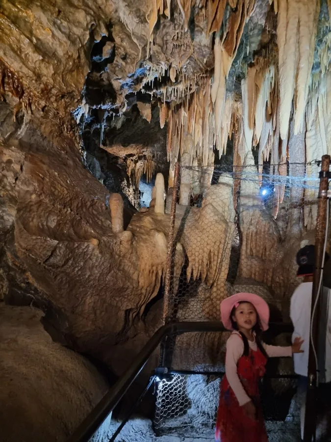 album của tour