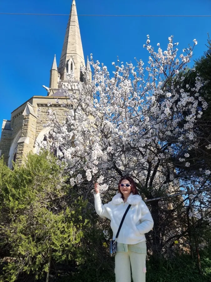 album của tour