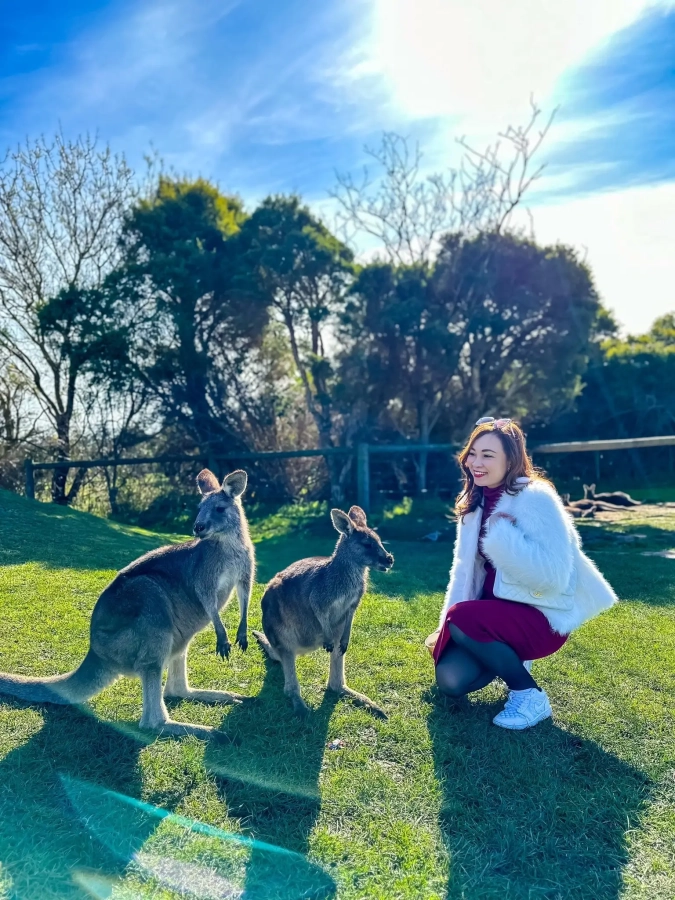 album của tour