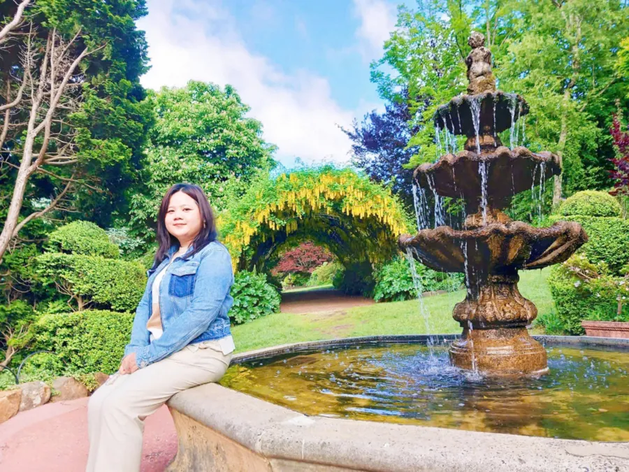 album của tour