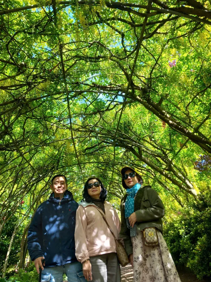 album của tour