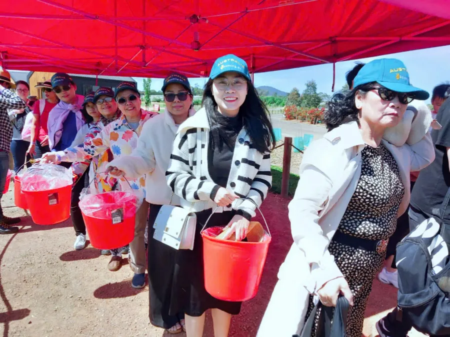 album của tour
