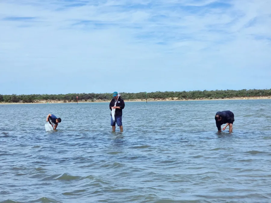 album của tour