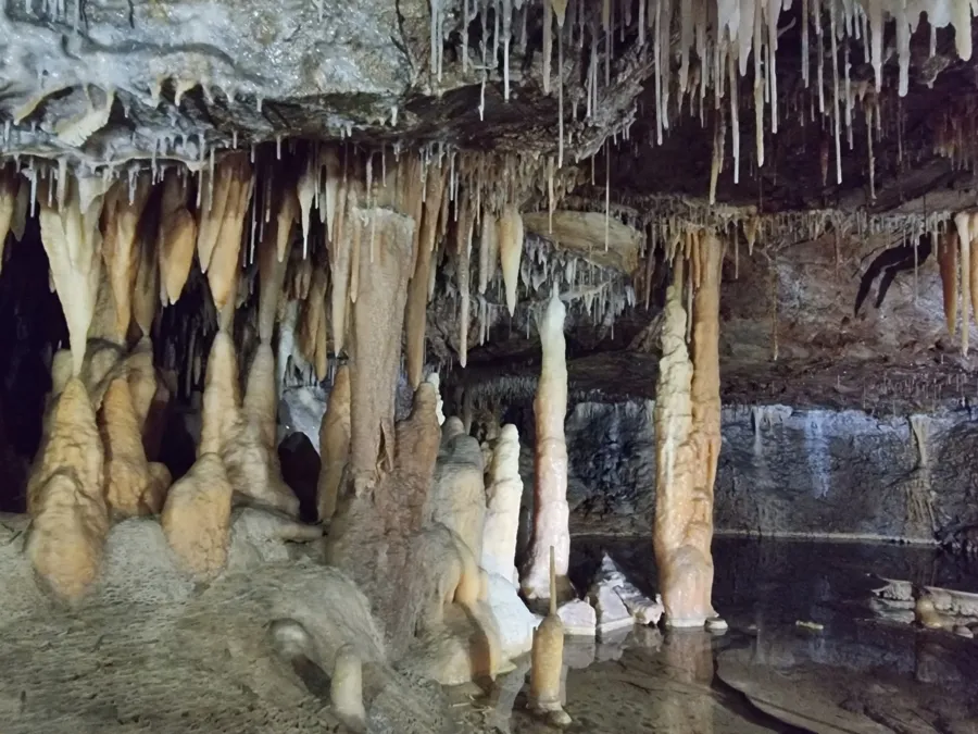album của tour