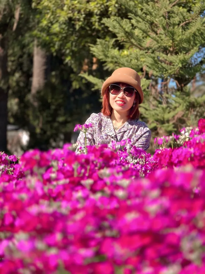 item image 802 album của tour Cherry farm và hoa Lavender