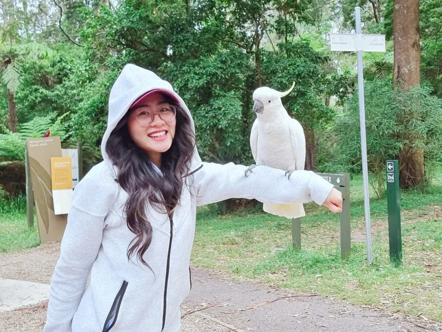 item image 814 album của tour Cherry farm và hoa Lavender